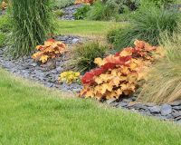 Slate & Paddlestones