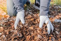 Soil, Compost & Bark