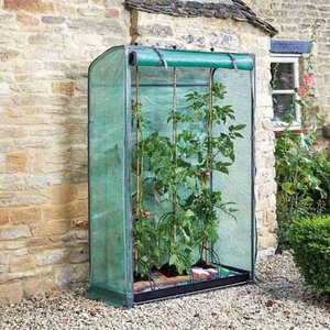Tomato Gro-Zone