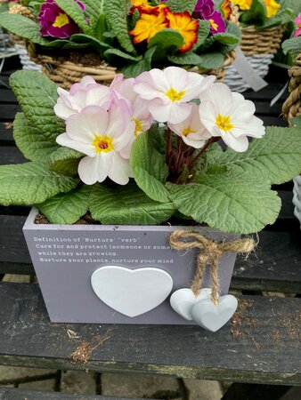 Wooden Heart Planter