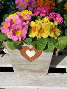 Wooden Heart Planter