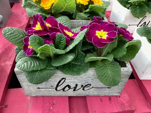 Wooden Love Trough - image 1