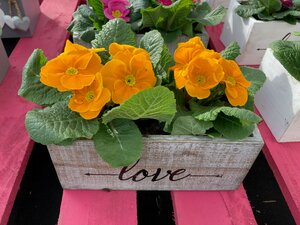 Wooden Love Trough - image 2