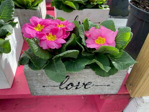 Wooden Love Trough - image 3